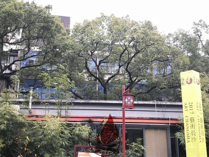 1516160245929441.jpg 微信圖片_20180117085703.jpg