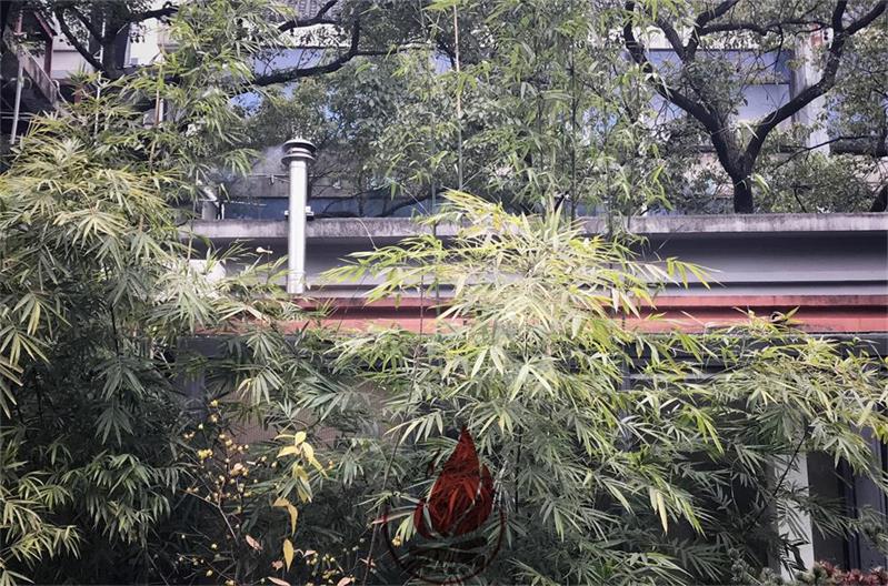 1516160255142414.jpg 微信圖片_20180117085659.jpg
